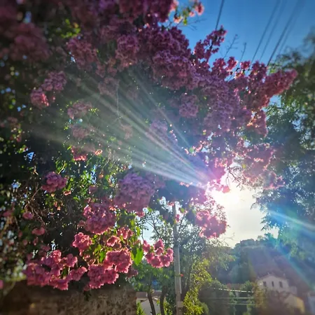 بيت للعطل Le Bougainvillier Maison Vigneronne