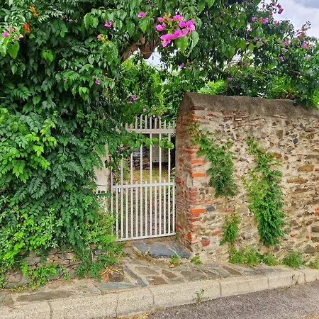 Le Bougainvillier Maison Vigneronne