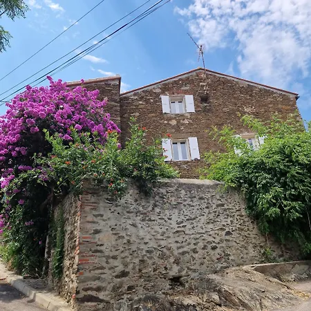 Le Bougainvillier Maison Vigneronne *
